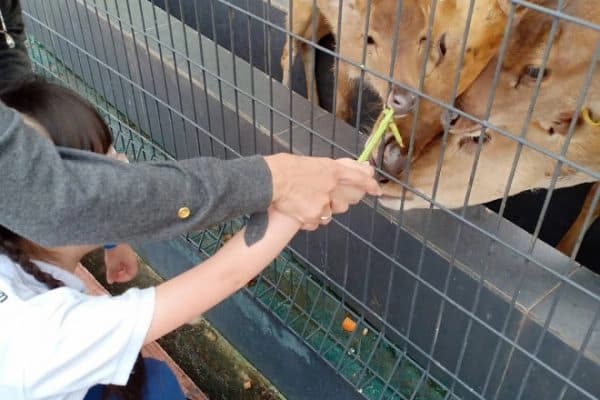 EIP Field Trip · 99 Wonderland Park