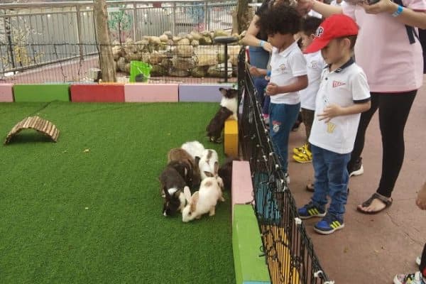 EIP Field Trip · 99 Wonderland Park