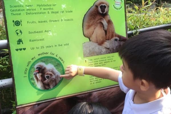 KL Zoo Trip